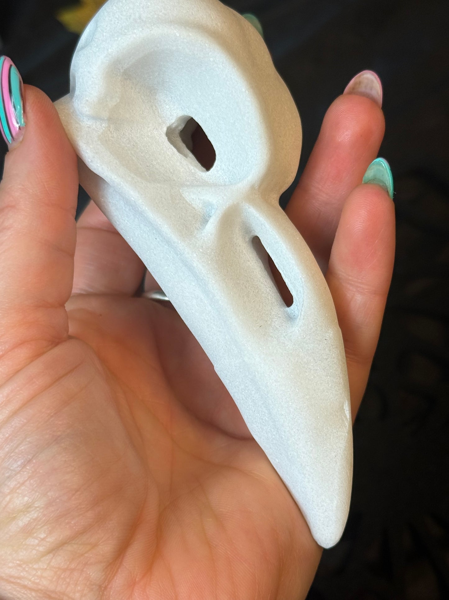 Large Raven Crow Skull