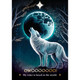 Wishcraft Oracle Cards - Stacey Demarco