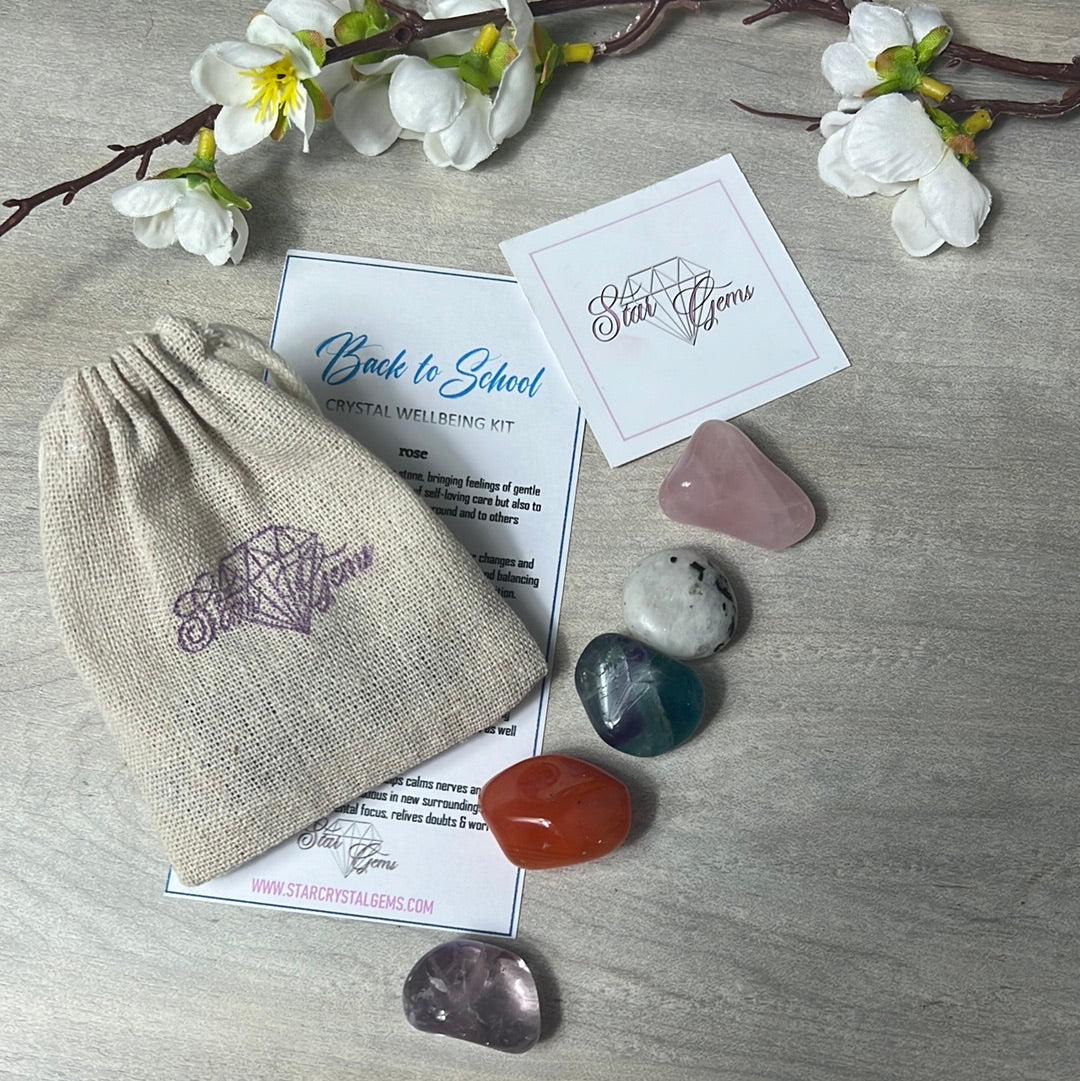 Starcrystalgems - Back to School Tumblestone Kit