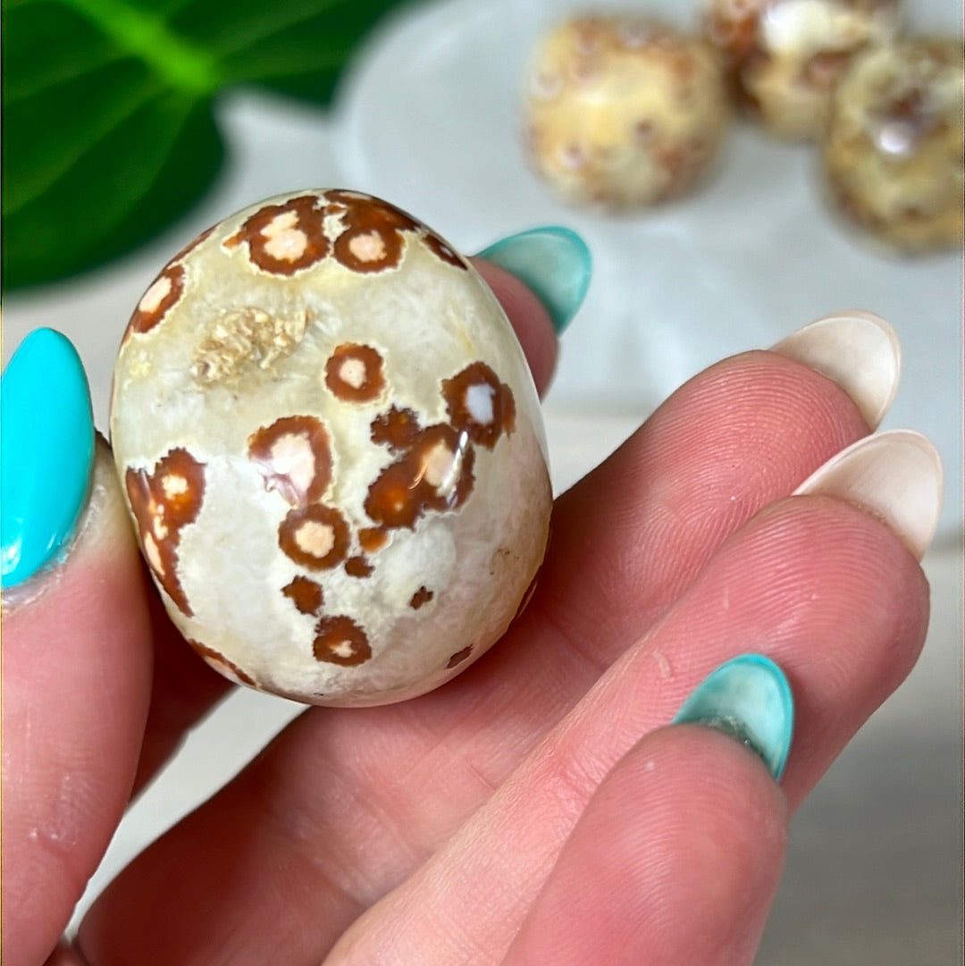 Large Obicular Ocean Jasper OJ Tumble Tumblestone