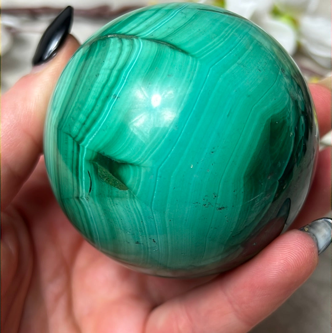 Malacholla Sphere XL