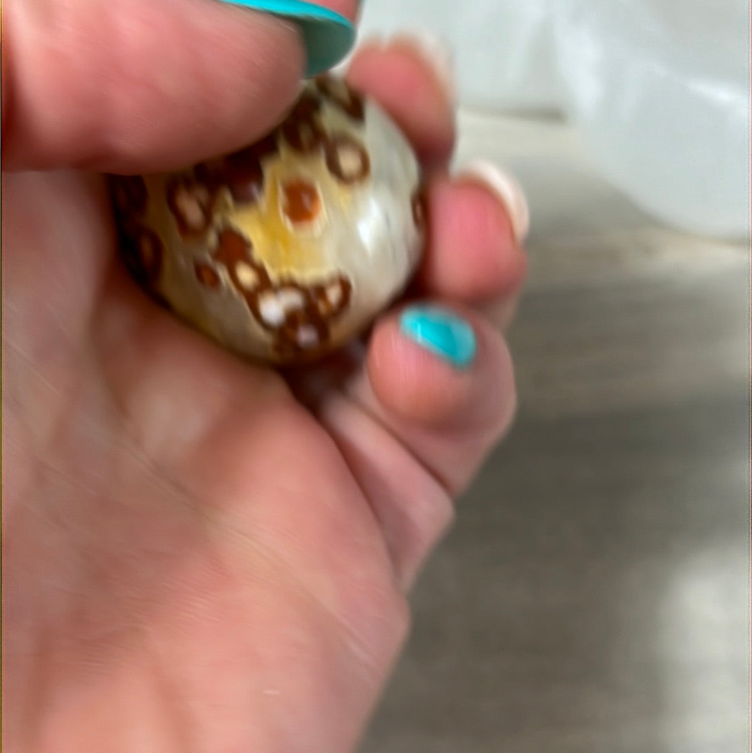 Large Obicular Ocean Jasper OJ Tumble Tumblestone