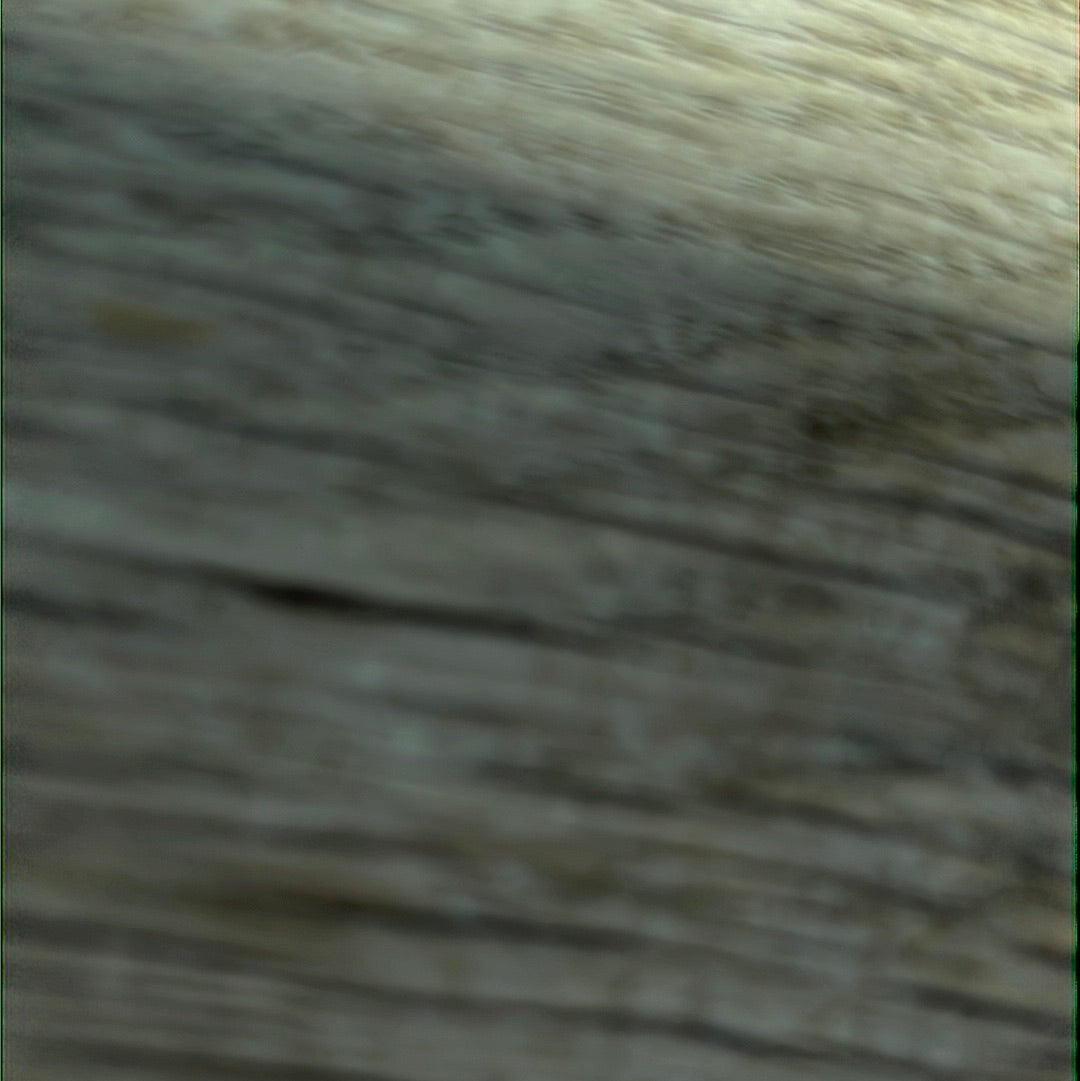 Abalone Shell 925 Silver Ring -  Size P 1/2 - Q