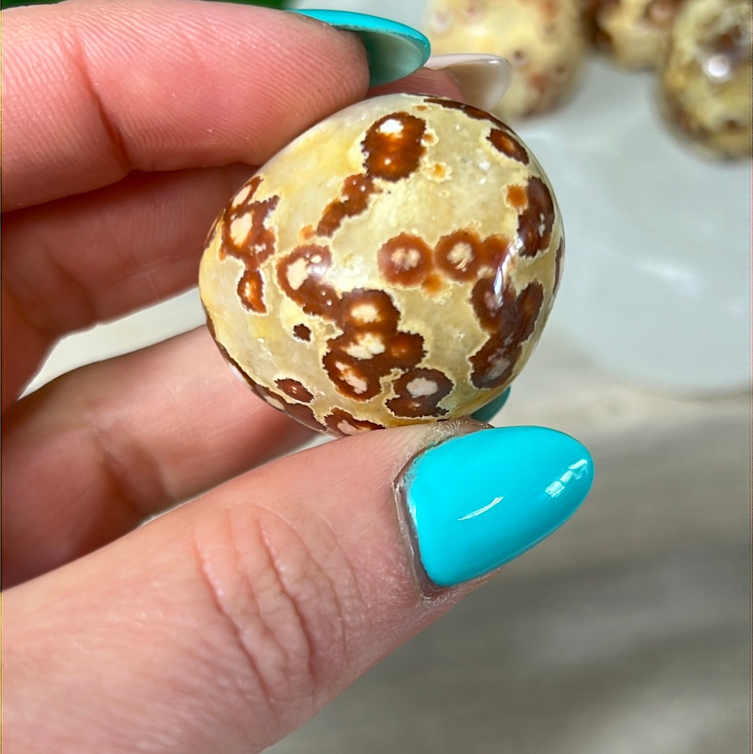 Large Obicular Ocean Jasper OJ Tumble Tumblestone