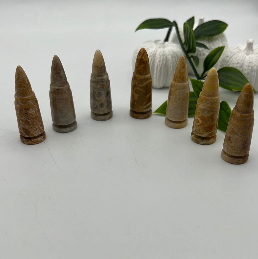 Fossilised Coral Agate Bullet