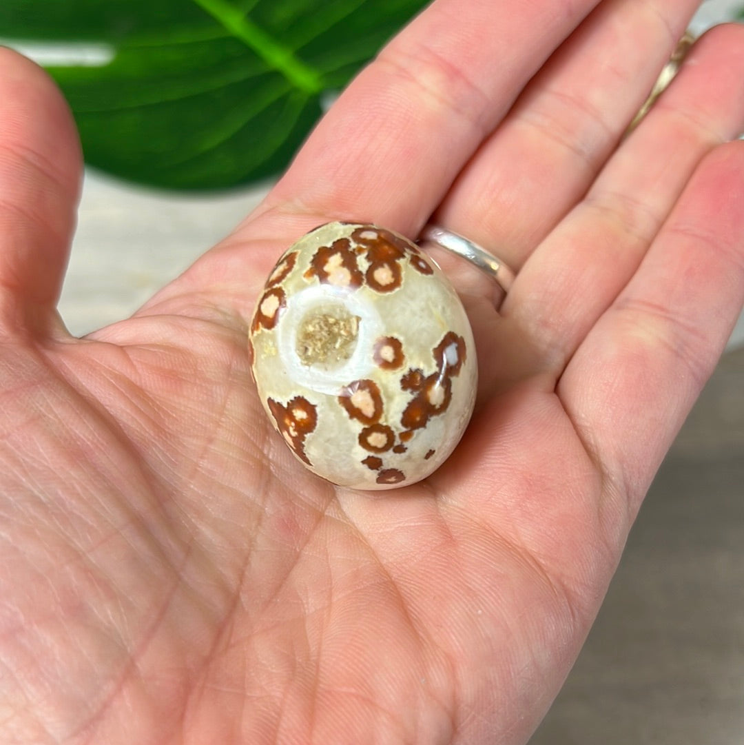 Large Obicular Ocean Jasper OJ Tumble Tumblestone