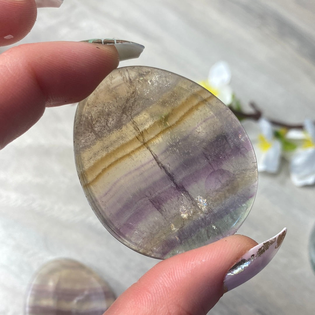 Fluorite Worry Palm
