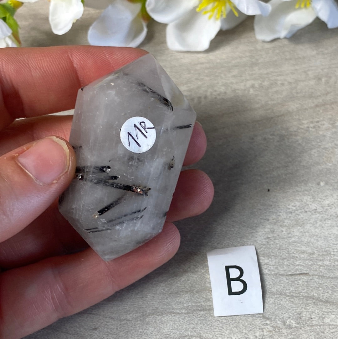 Black Tourmaline in Quartz DTs