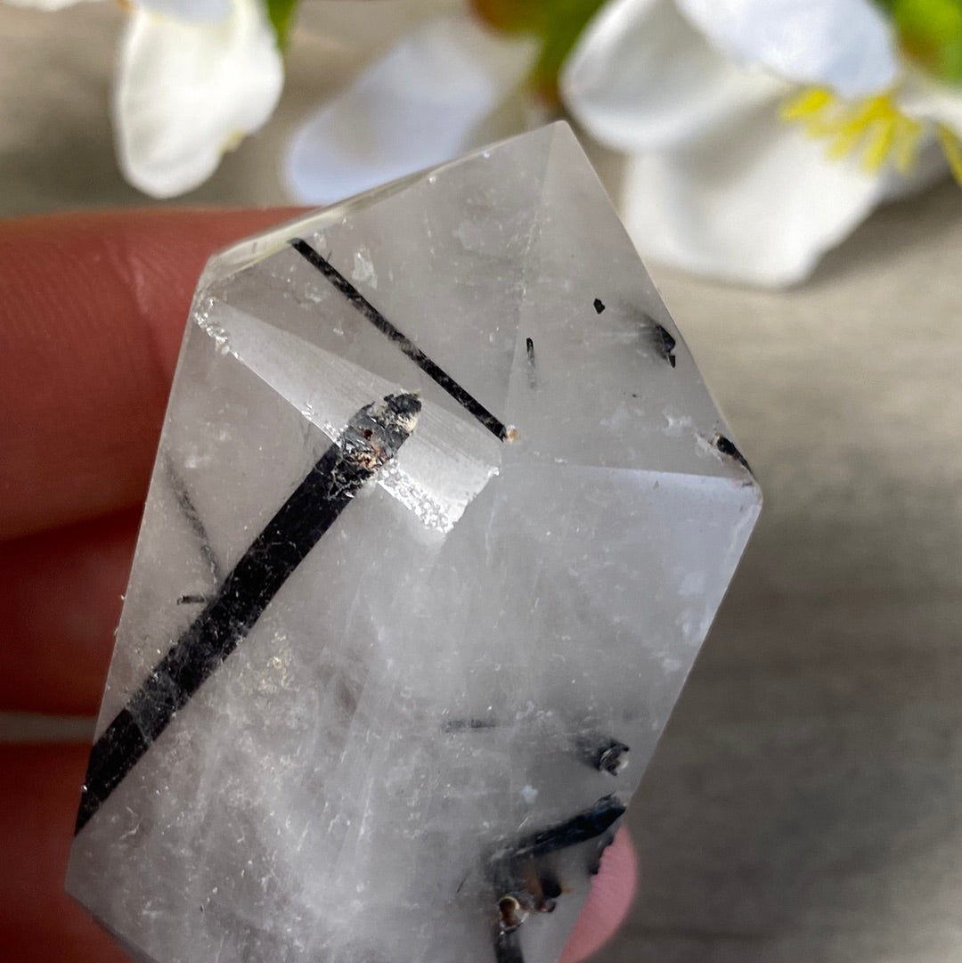Black Tourmaline in Quartz DTs