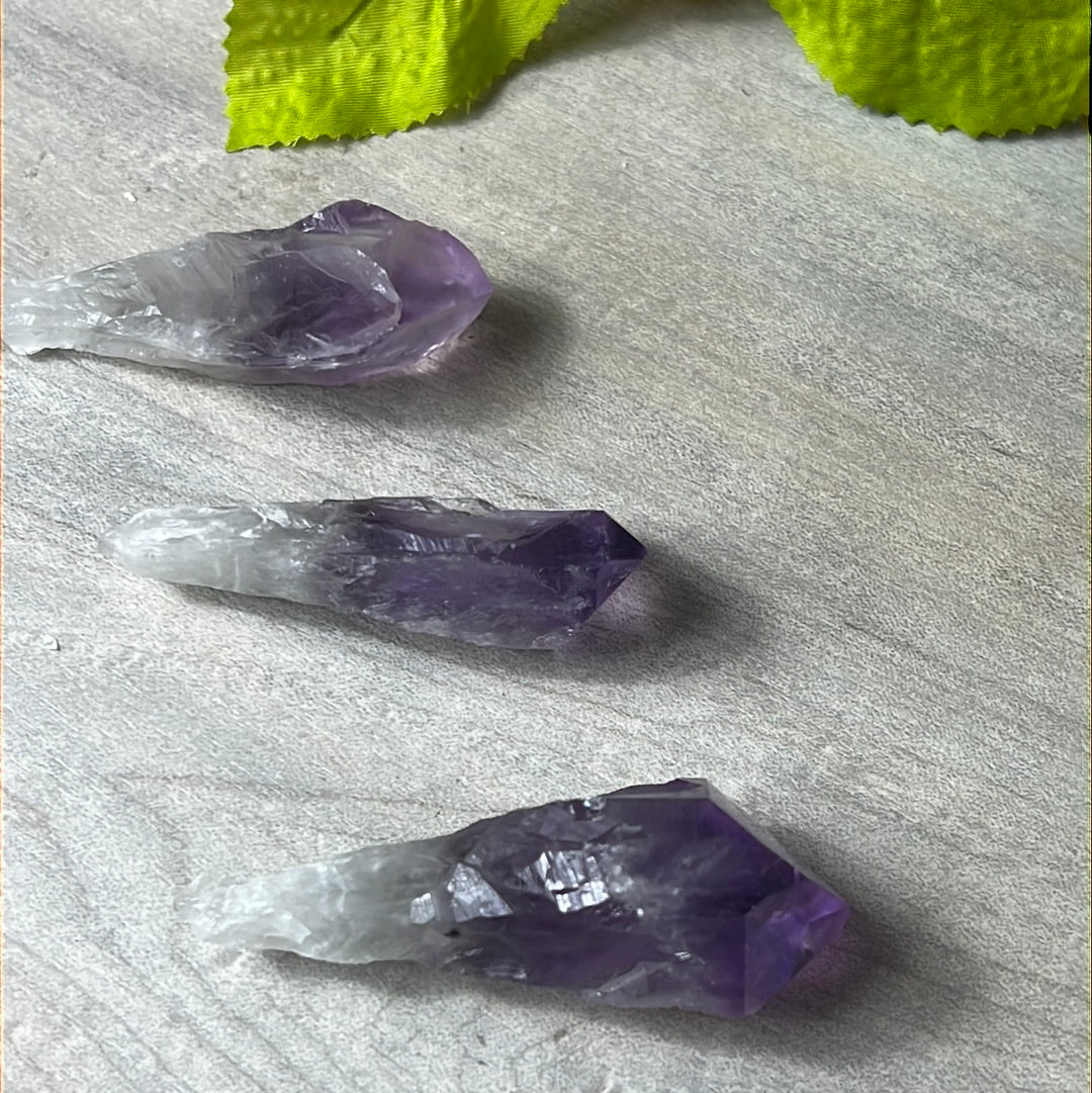 Amethyst Root Tooth