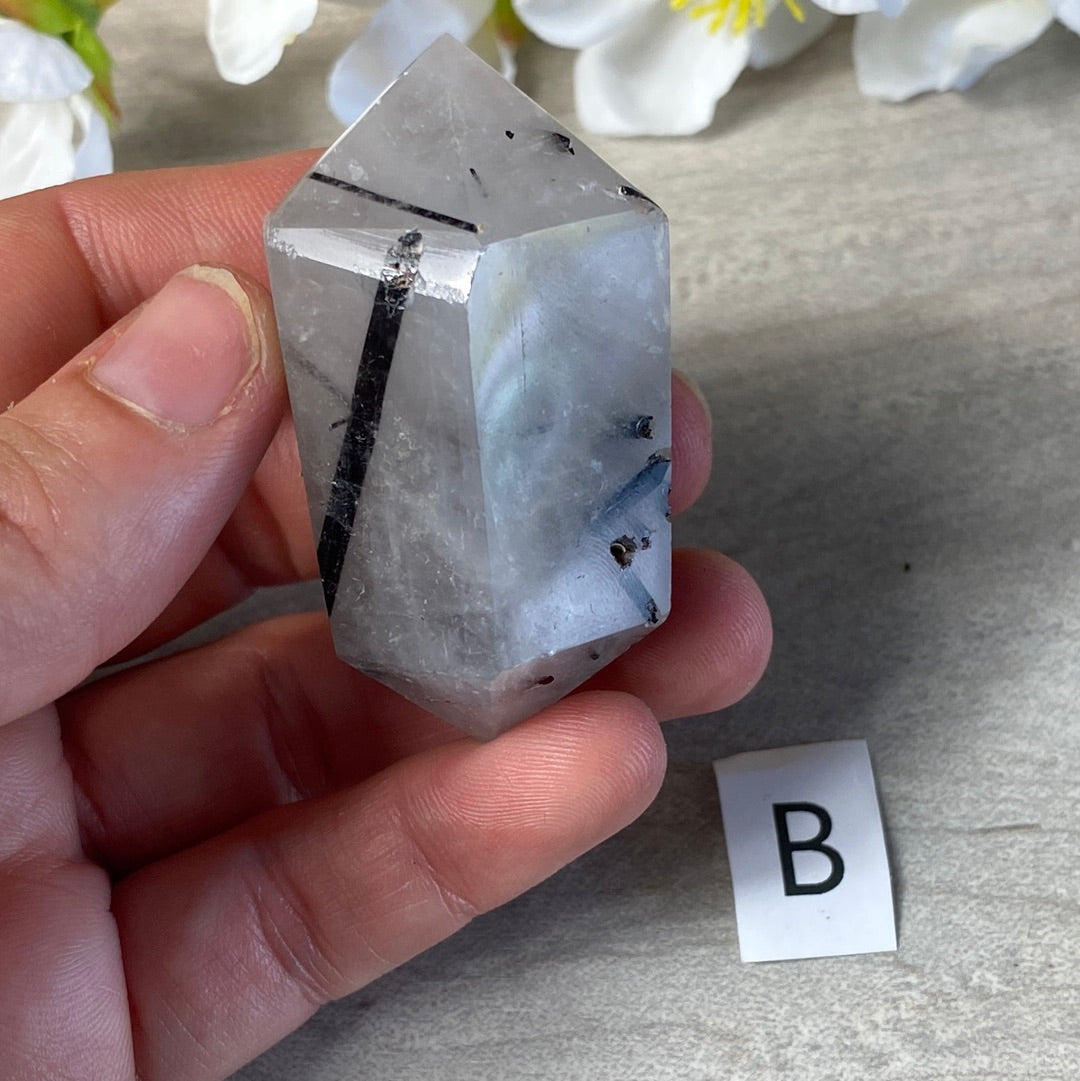 Black Tourmaline in Quartz DTs
