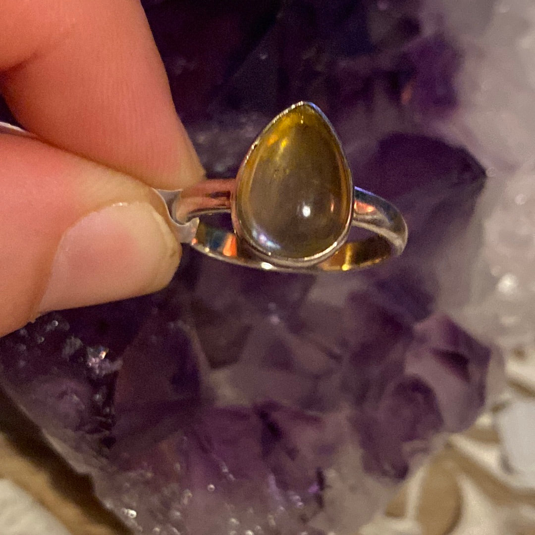 Amber 925 Sterling Silver Ring -  Size N 1/2