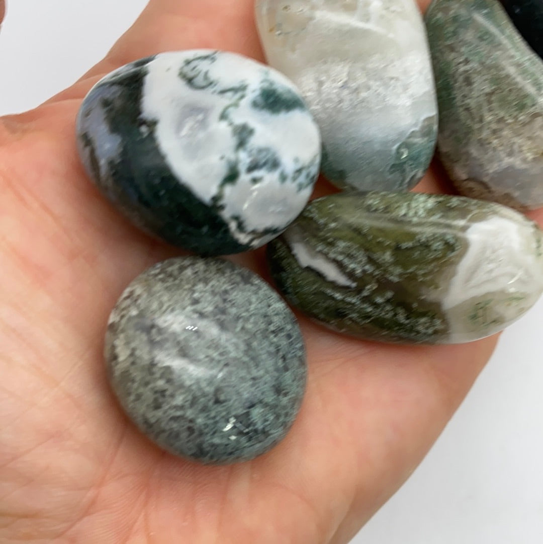 XL Moss Agate polished tumble tumblestone