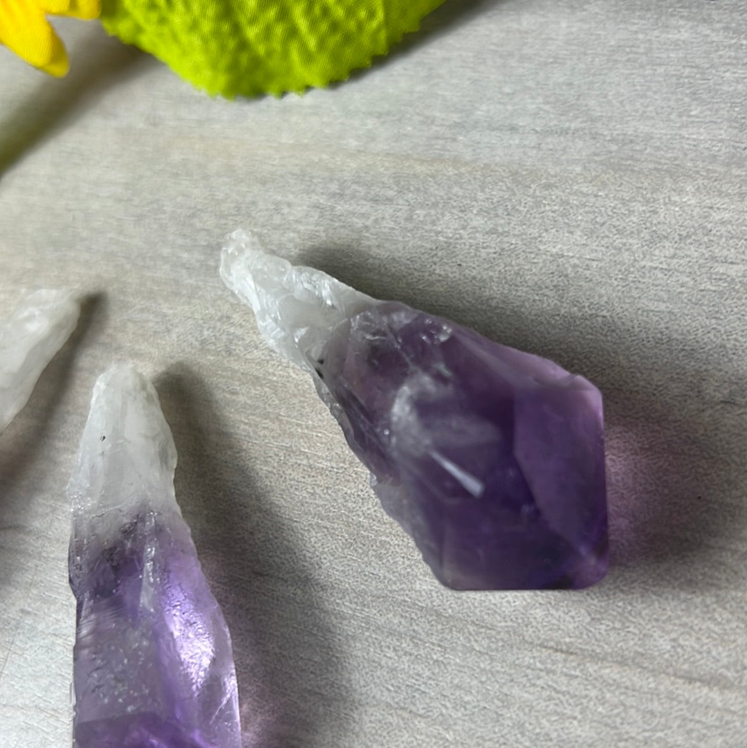 Amethyst Root Tooth