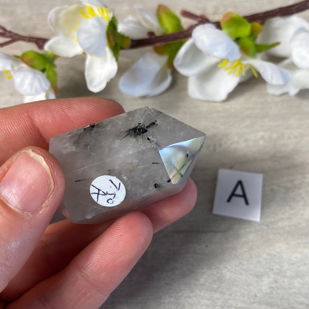 Black Tourmaline in Quartz DTs