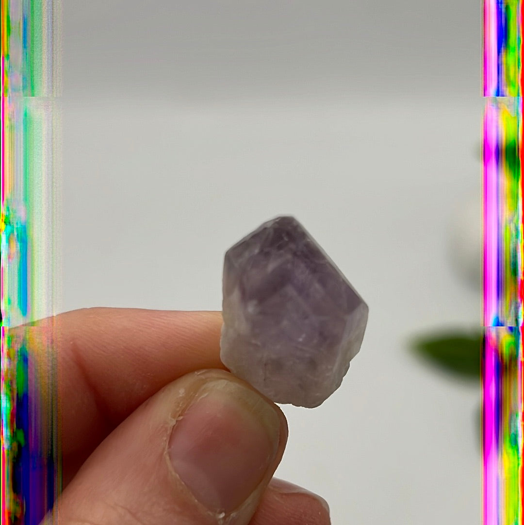 Mini Amethyst Phantom Root Tooth tumble tumblestone