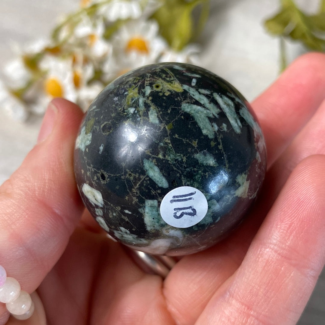 Chrysanthemum sphere