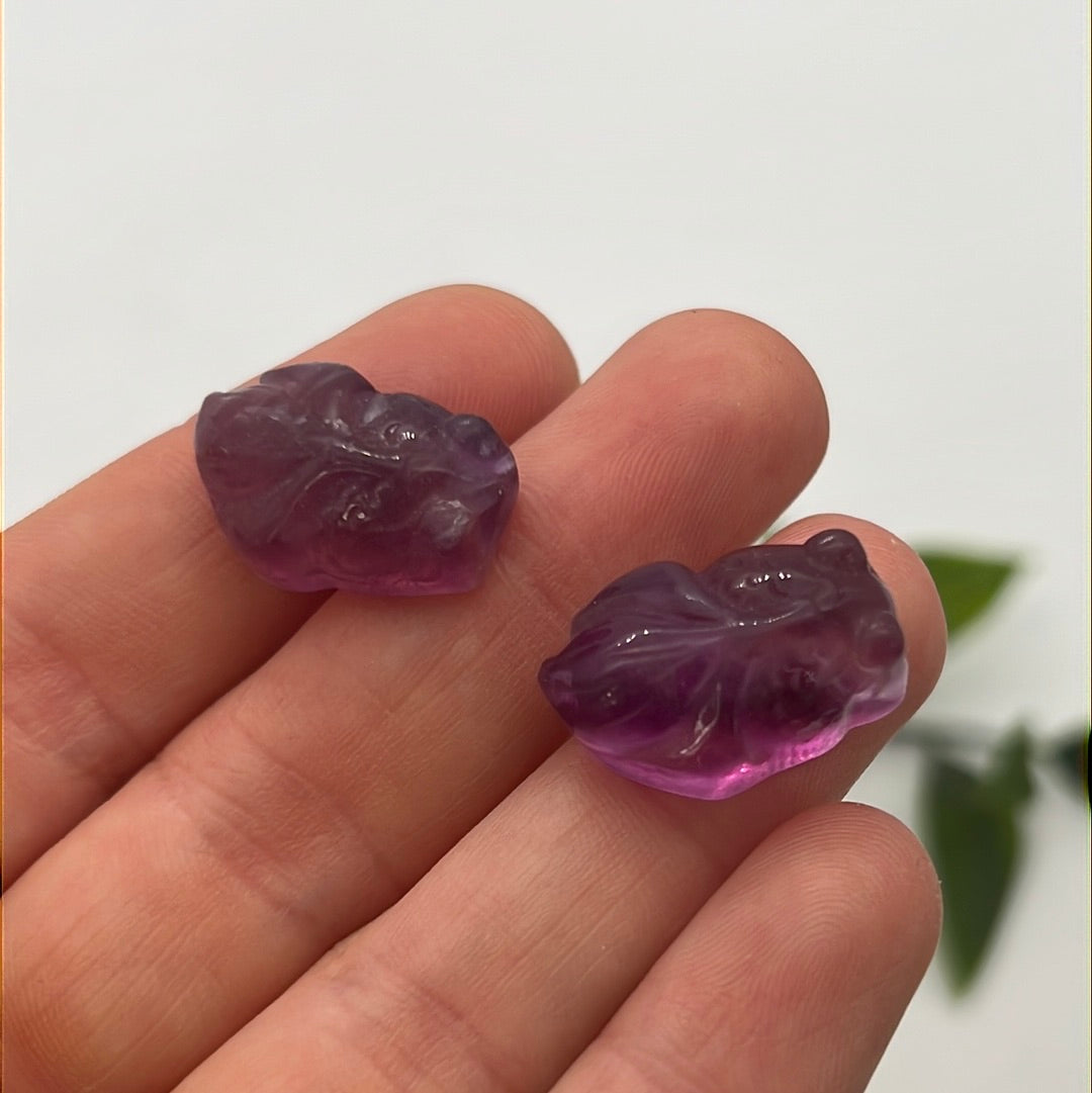 Mini Fluorite Fish