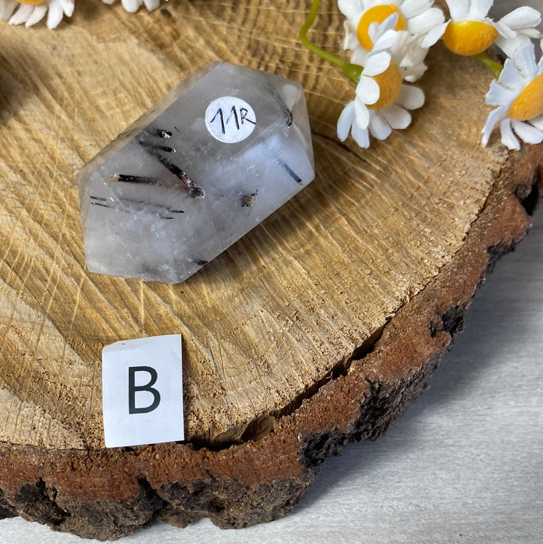 Black Tourmaline in Quartz DTs