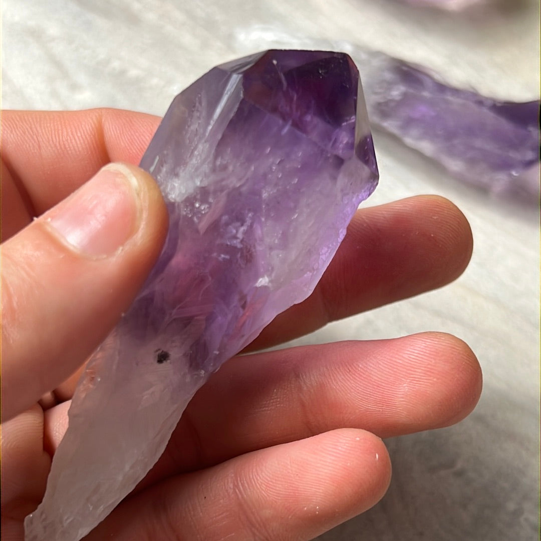 Amethyst Root Tooth