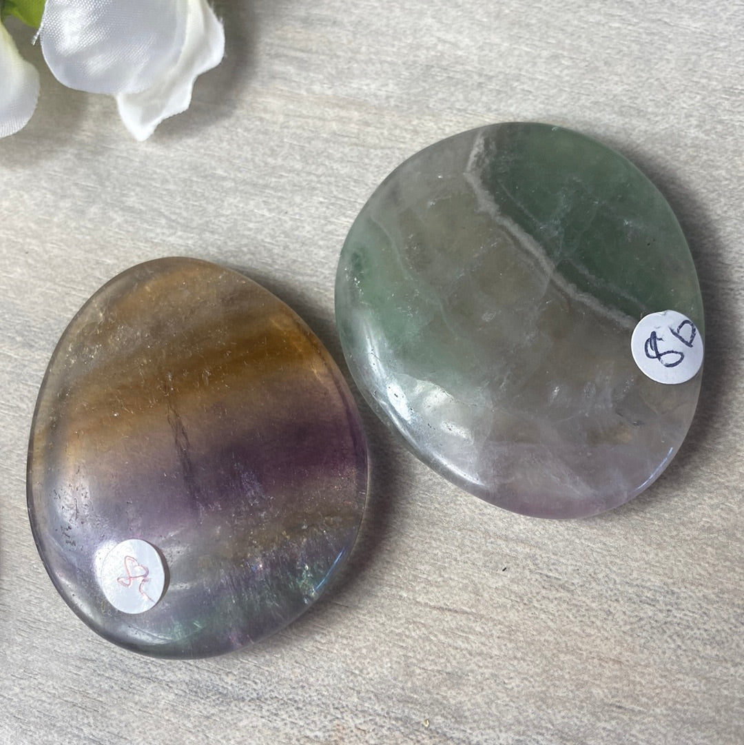 Fluorite Worry Palm