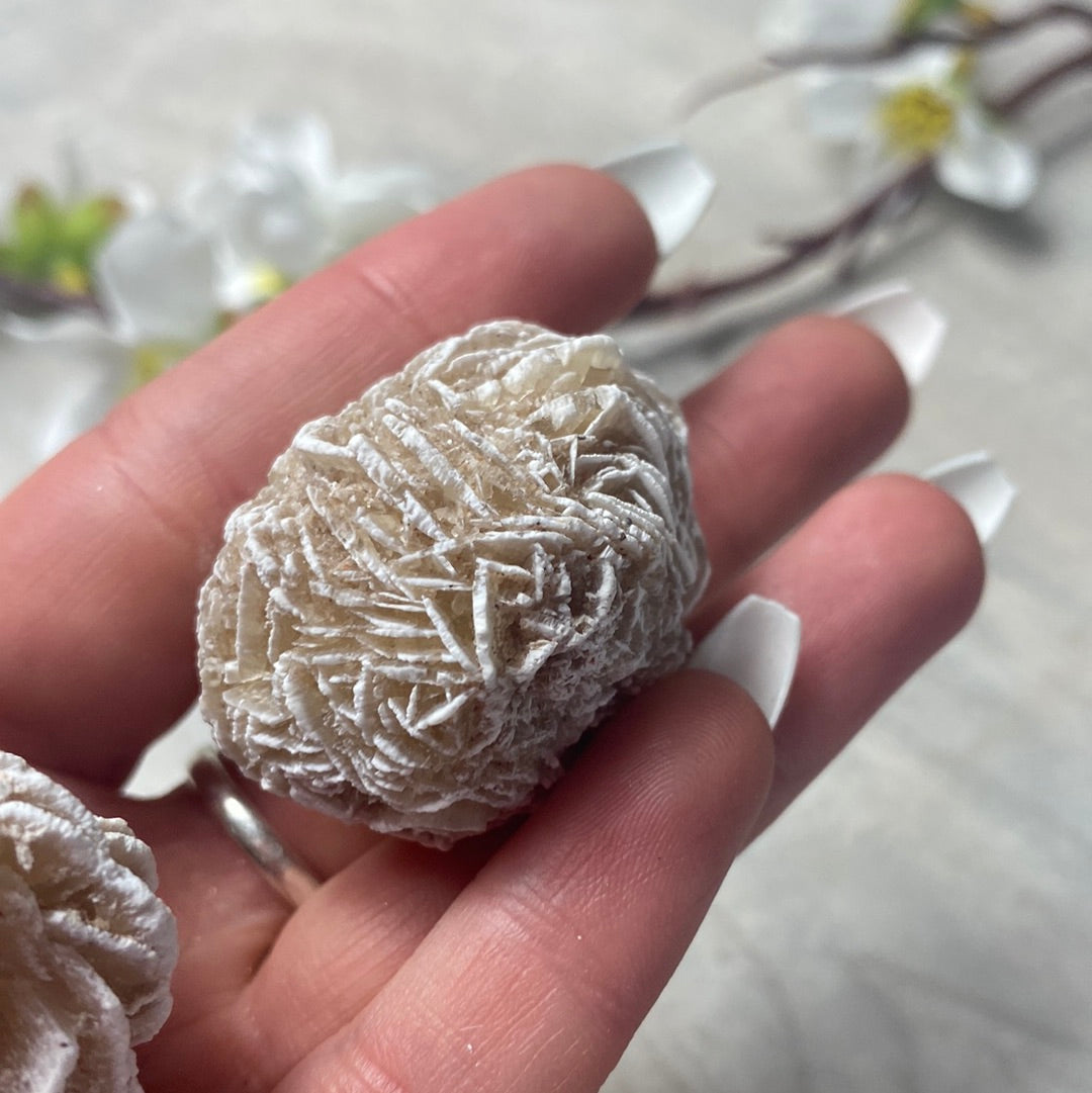 Desert Rose Selenite