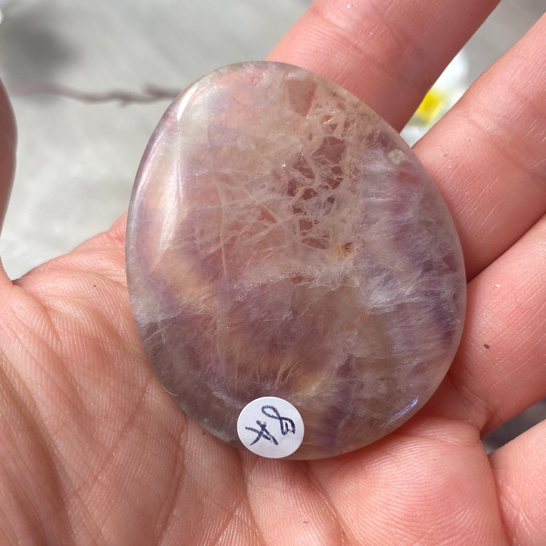 Fluorite Worry Palm