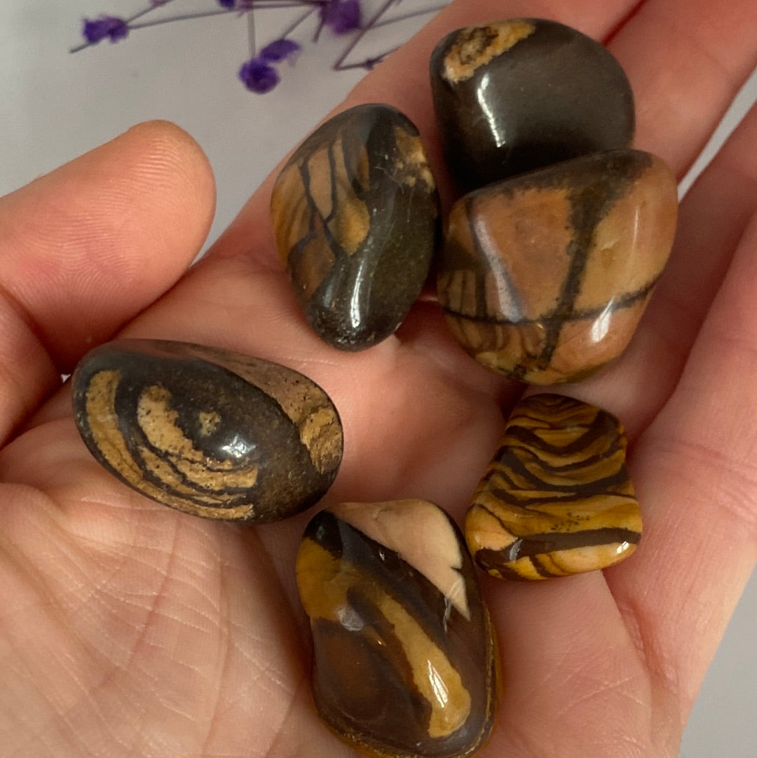 Autumn Leaf Jasper - Tumblestone Tumbles