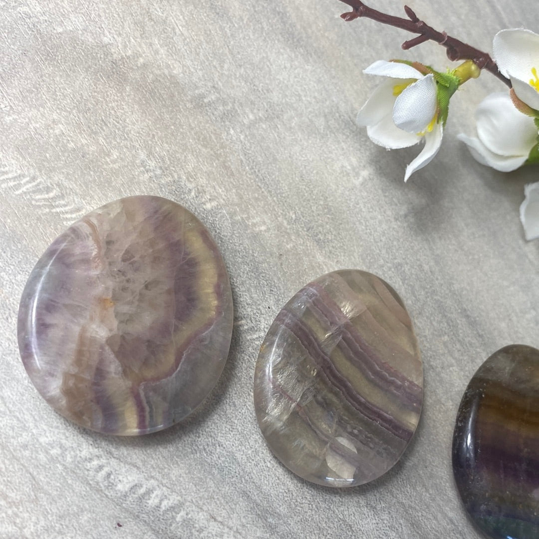 Fluorite Worry Palm