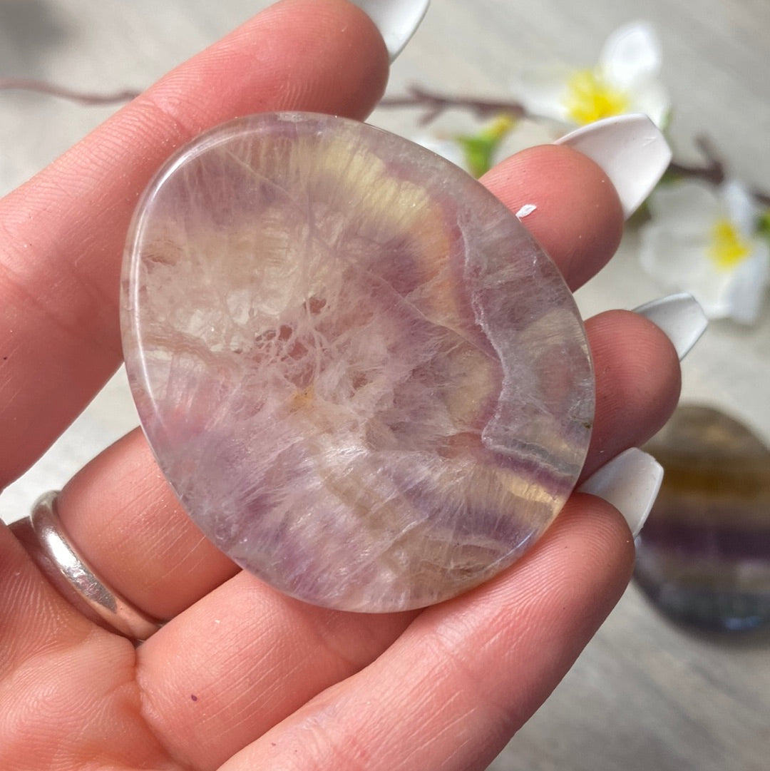 Fluorite Worry Palm