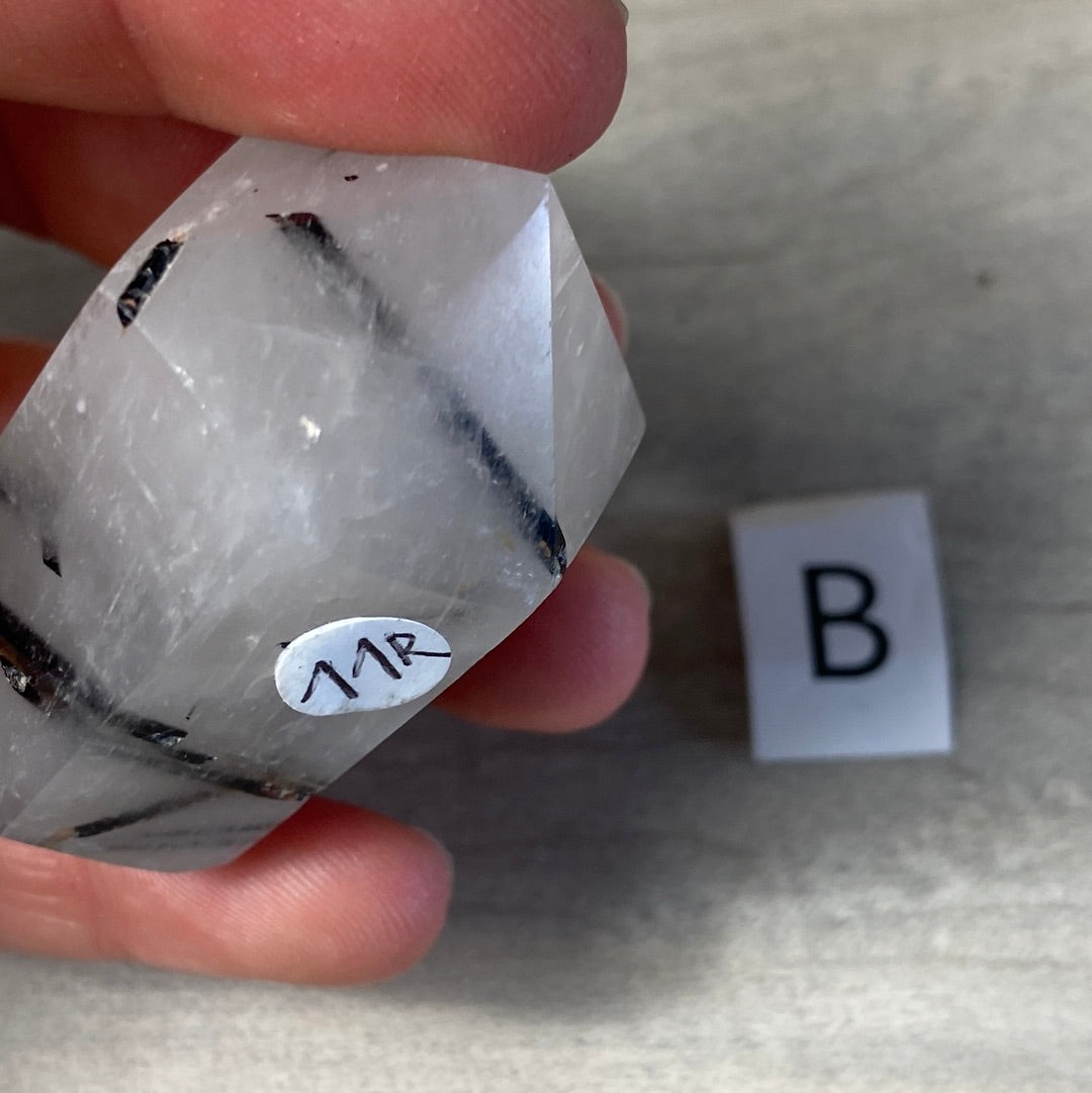 Black Tourmaline in Quartz DTs