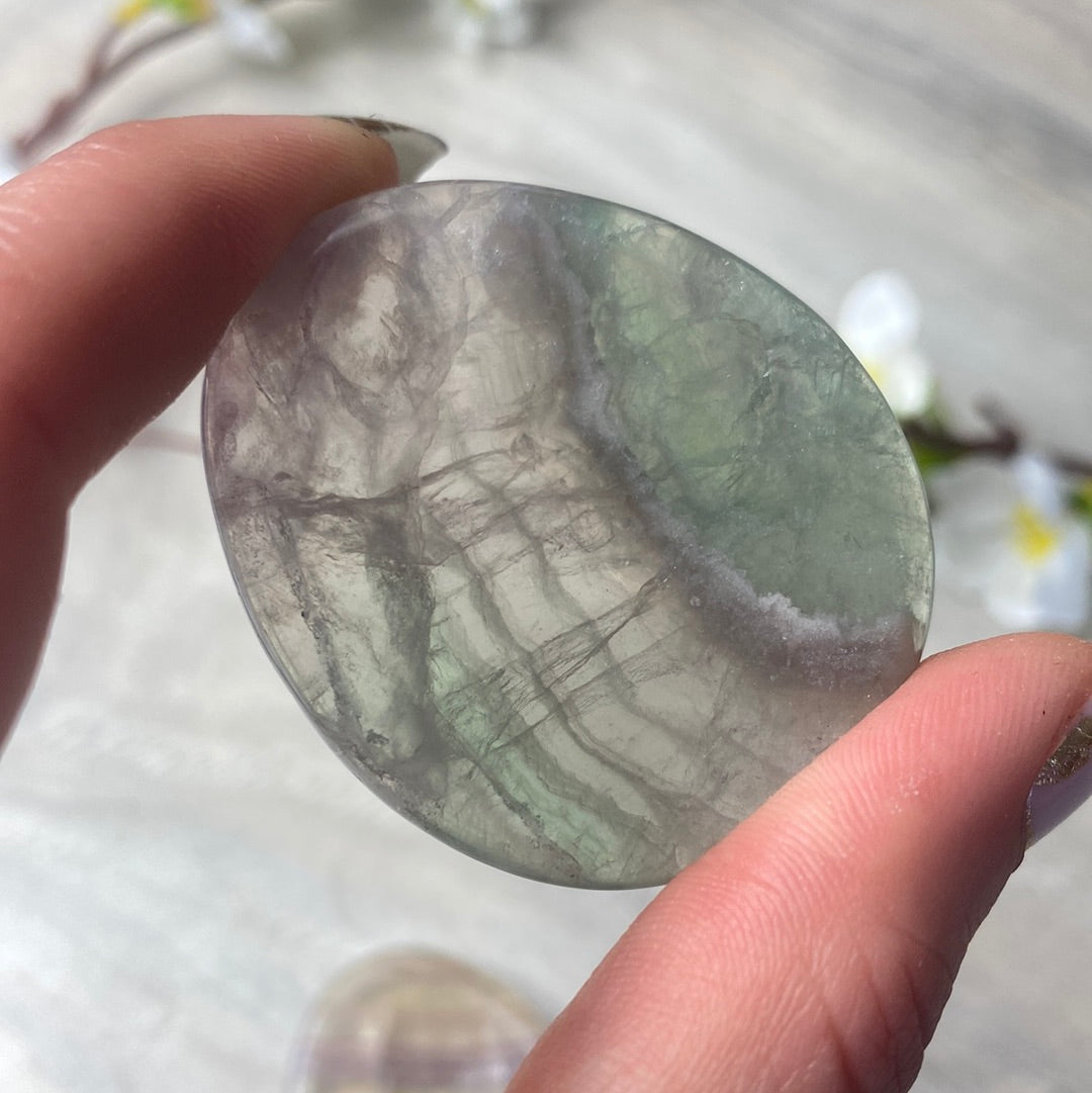 Fluorite Worry Palm