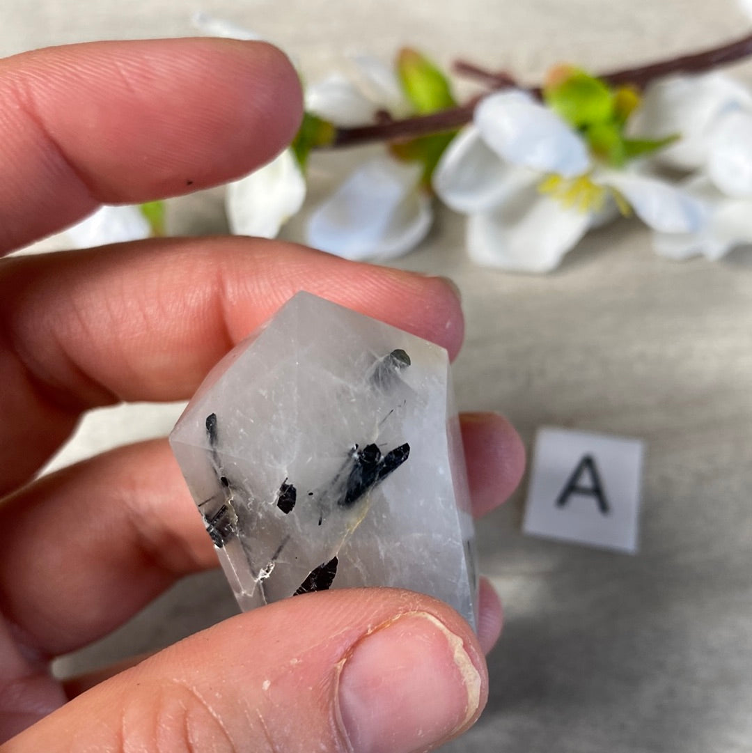 Black Tourmaline in Quartz DTs