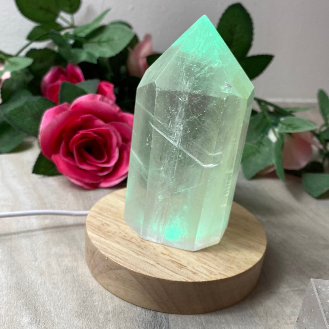 Wood Multicoloured Light base lamp stand - USB 10cm