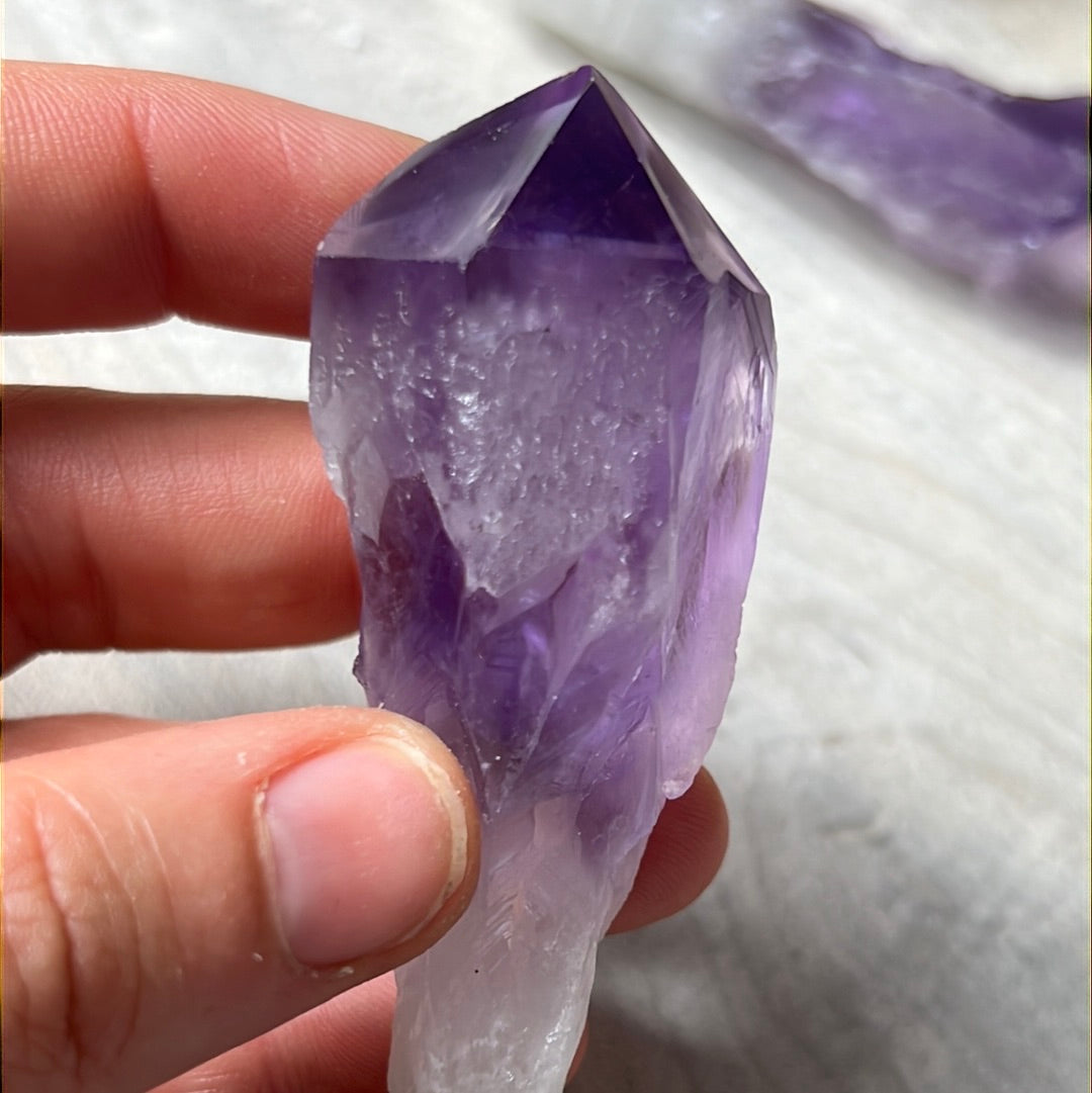 Amethyst Root Tooth