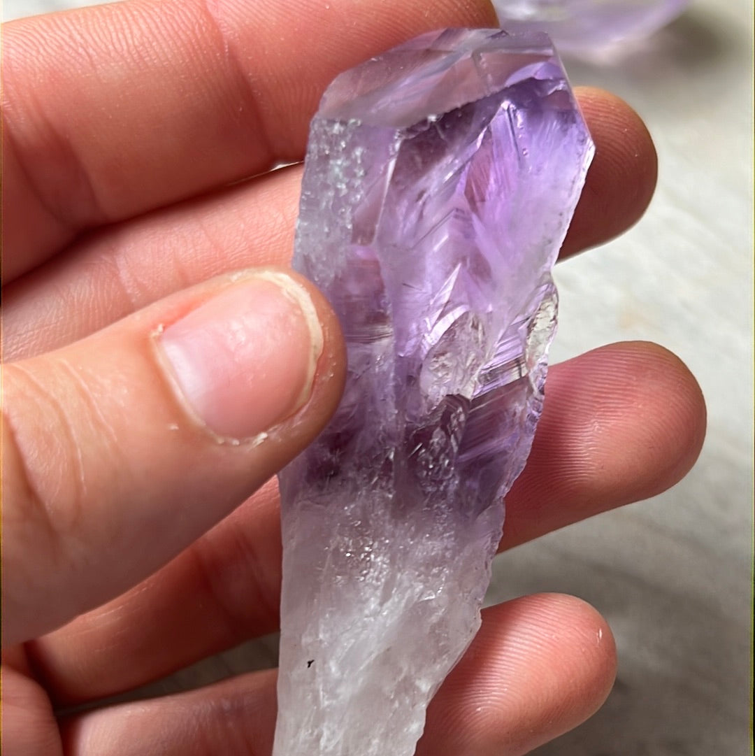 Amethyst Root Tooth