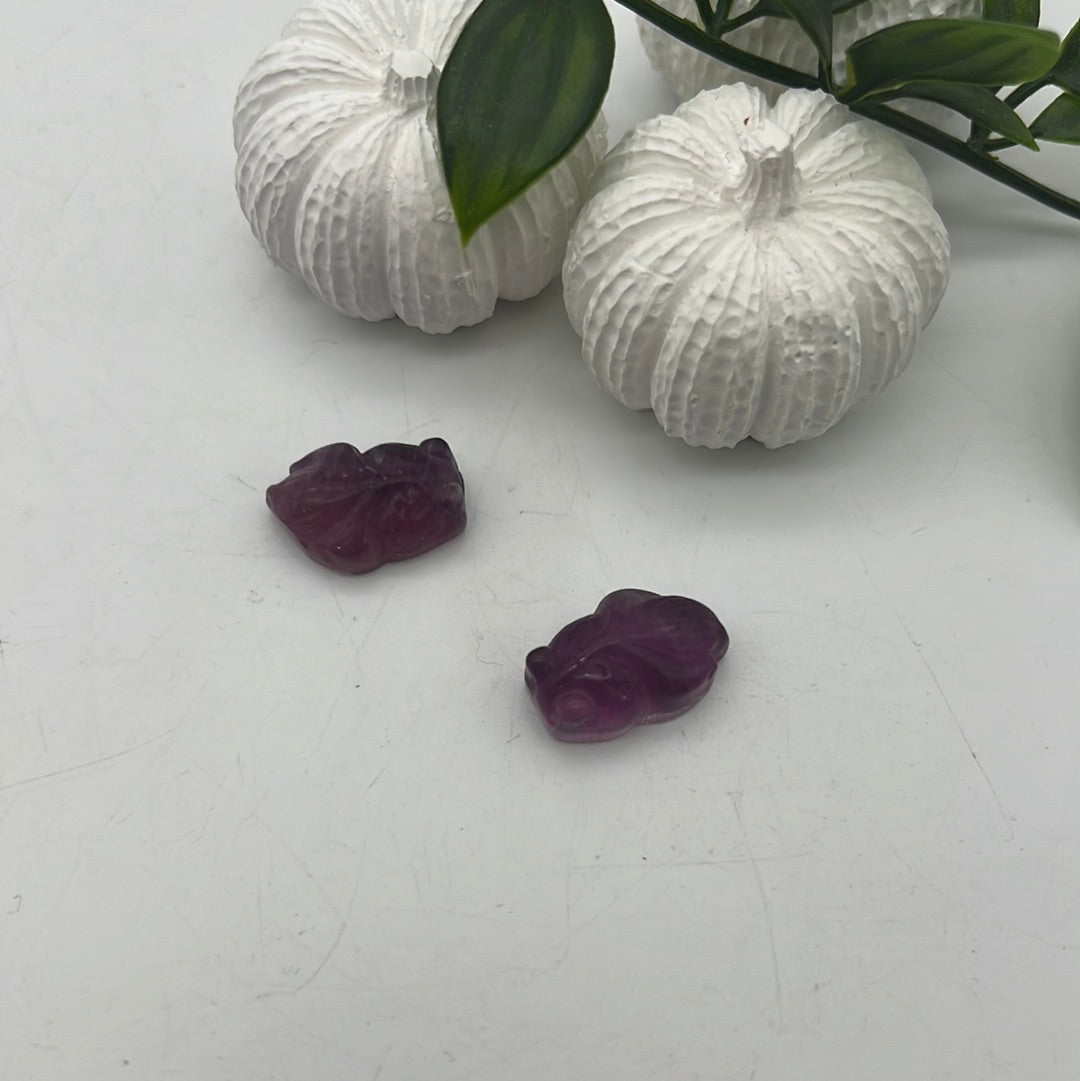 Mini Fluorite Fish