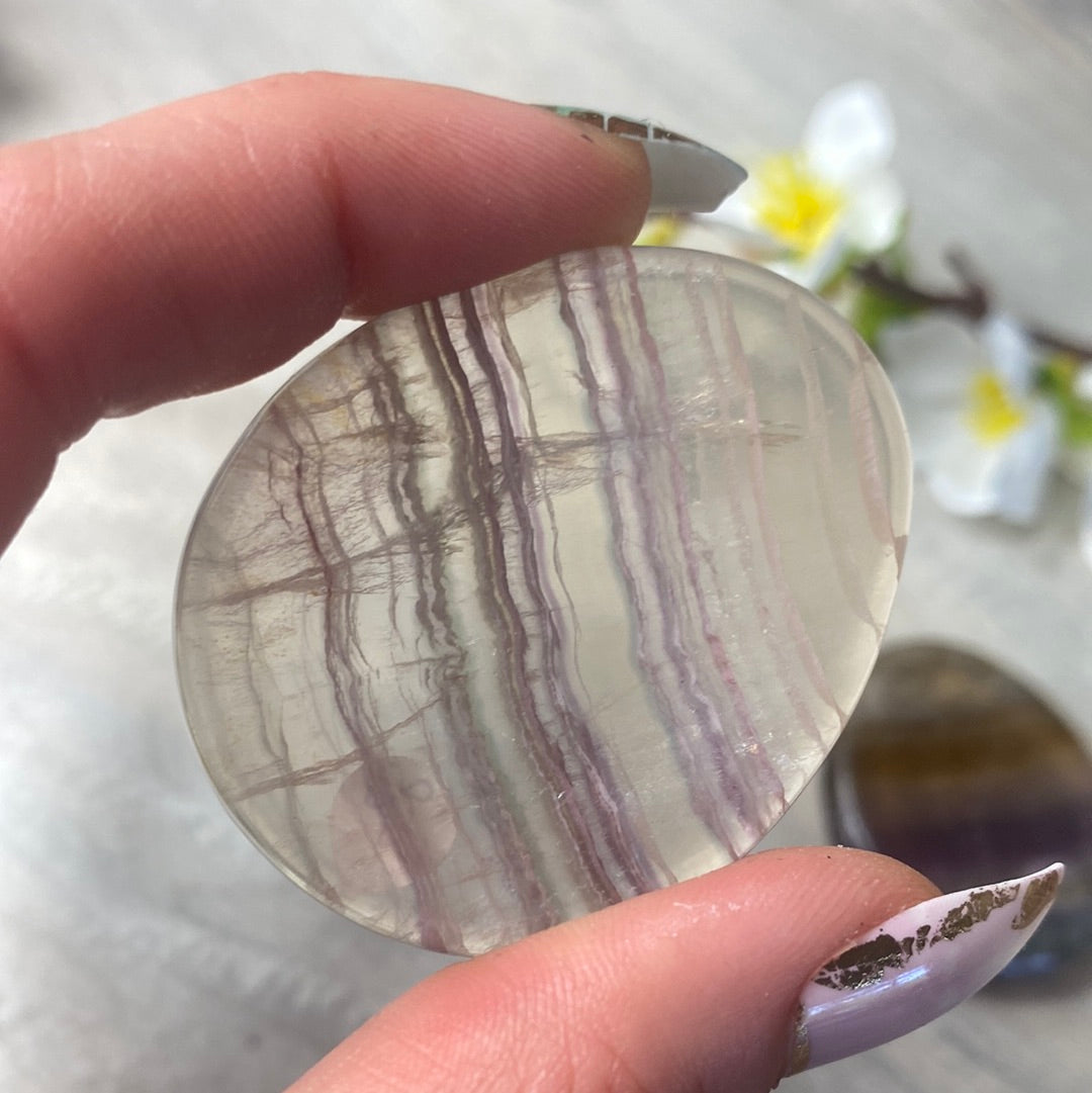 Fluorite Worry Palm