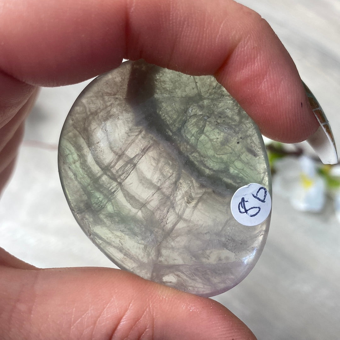 Fluorite Worry Palm