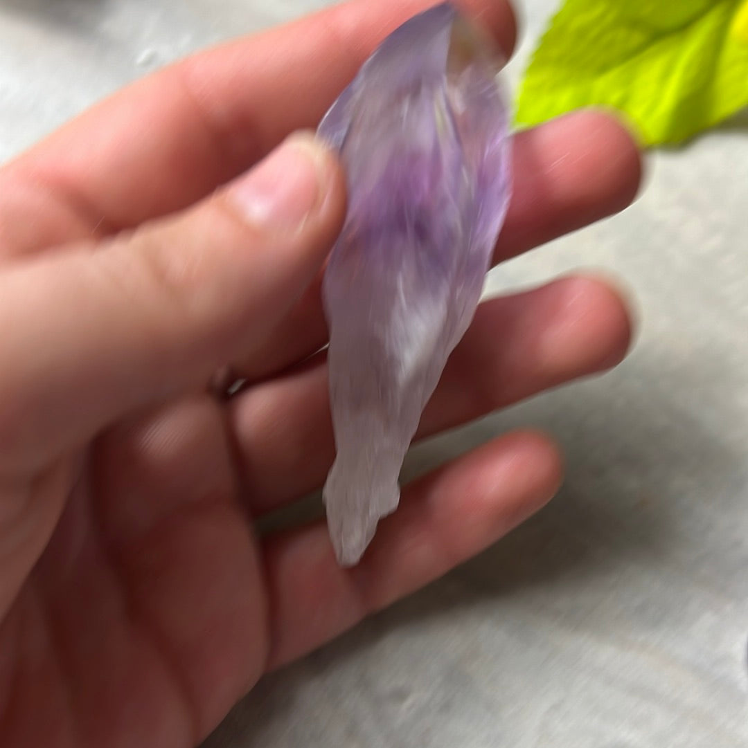 Amethyst Root Tooth