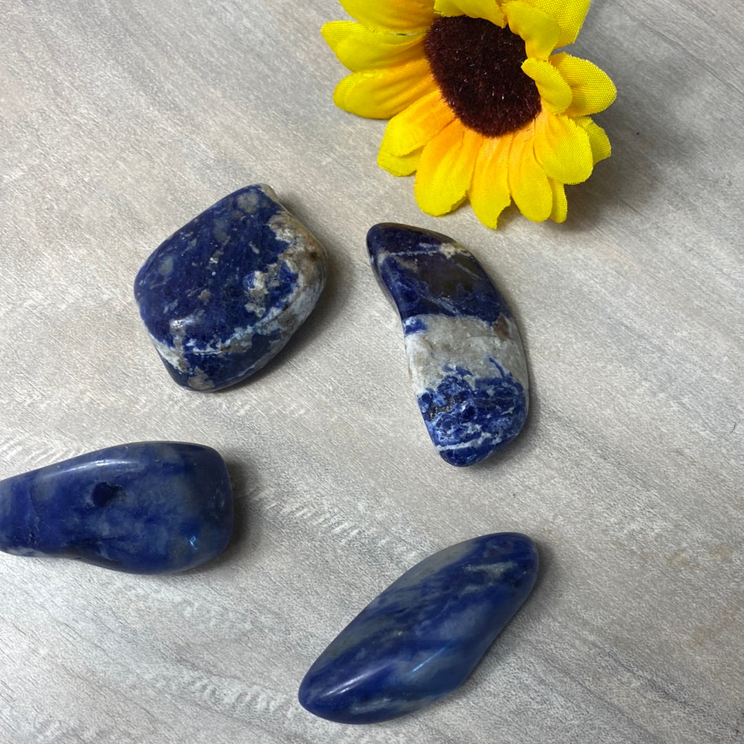 XL Chunk of sodalite