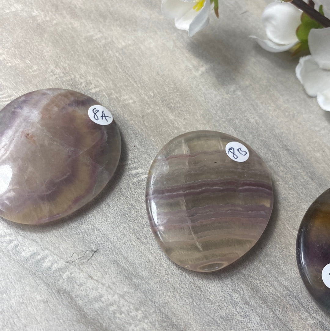 Fluorite Worry Palm