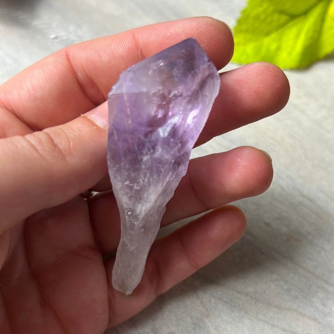 Amethyst Root Tooth
