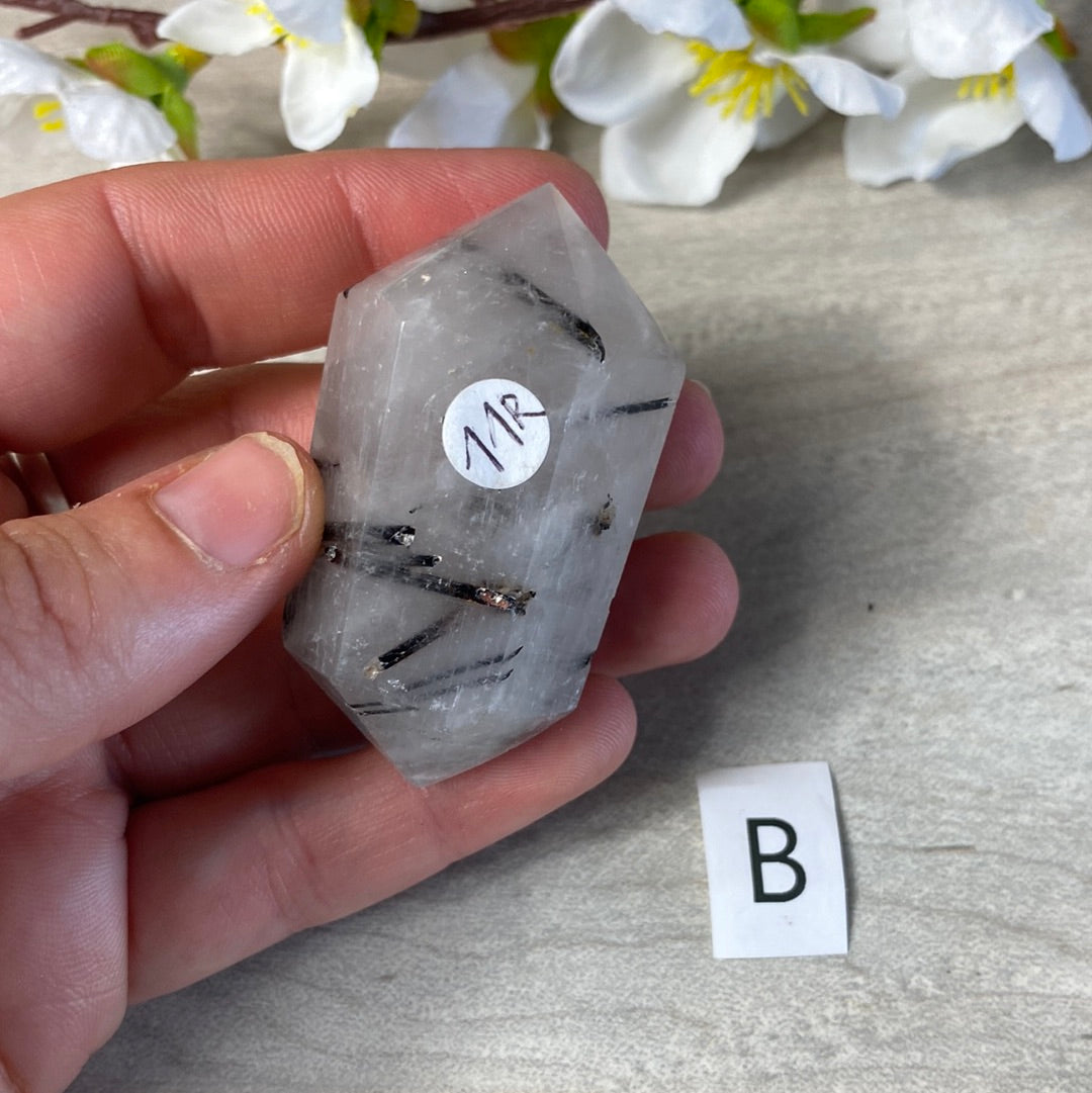 Black Tourmaline in Quartz DTs