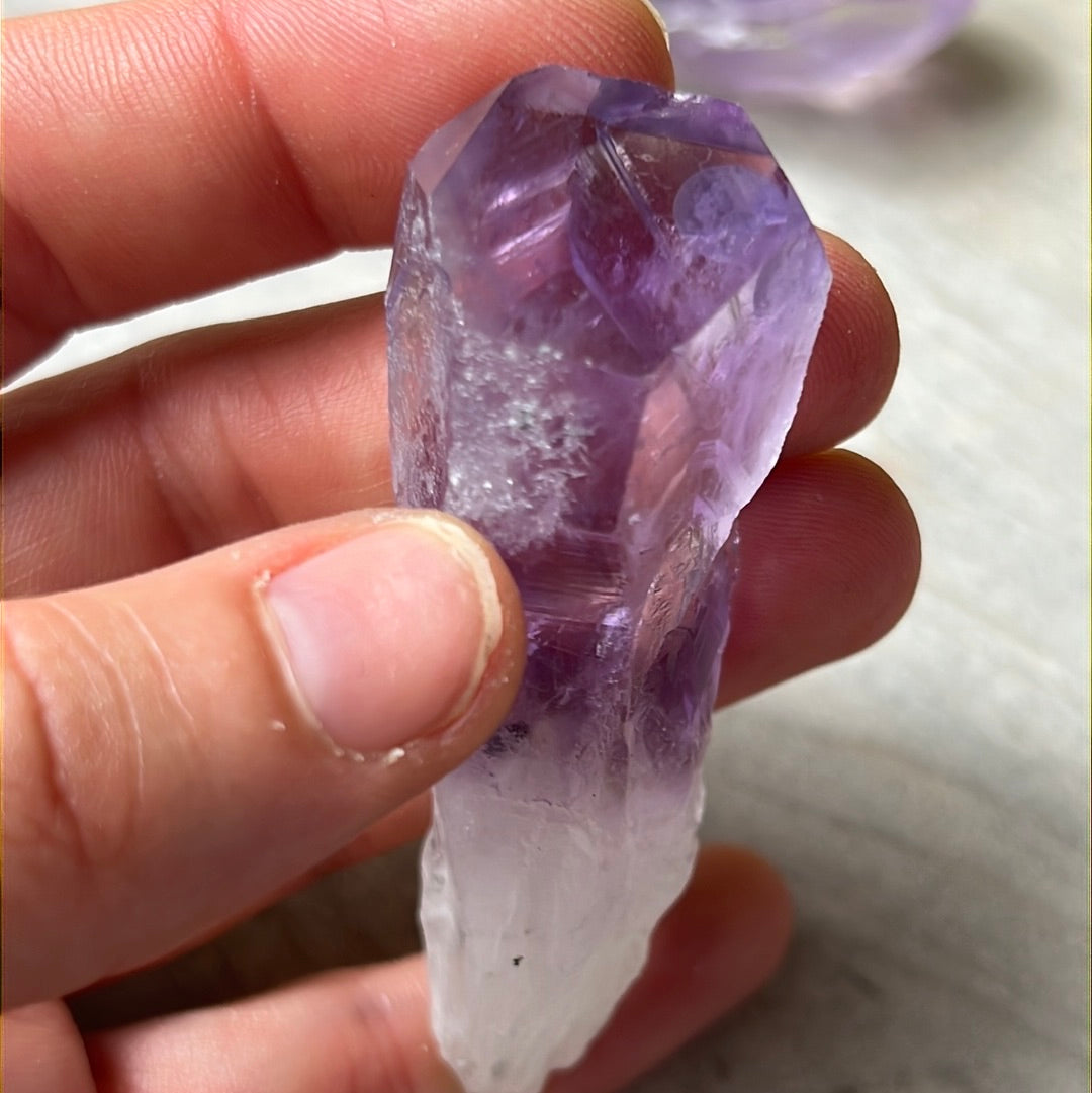 Amethyst Root Tooth