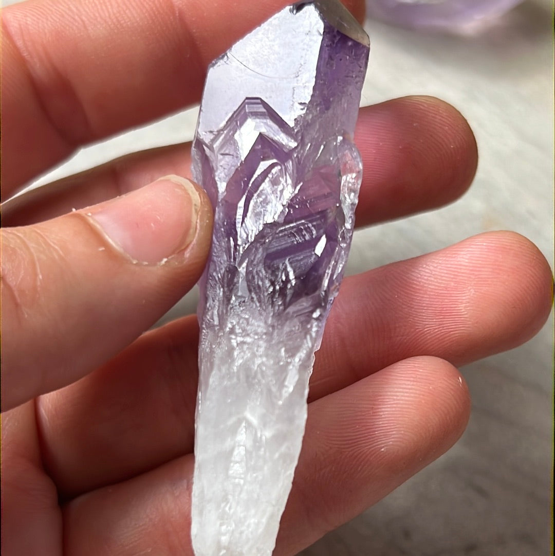 Amethyst Root Tooth