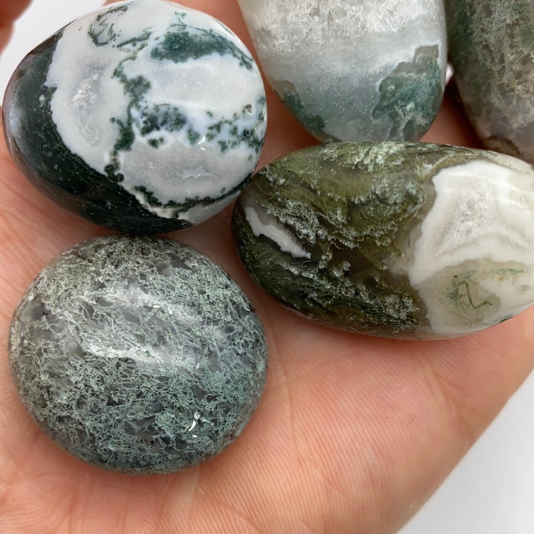 XL Moss Agate polished tumble tumblestone