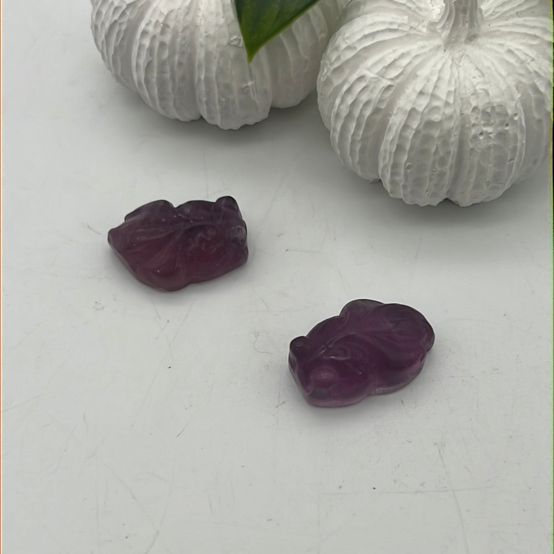 Mini Fluorite Fish