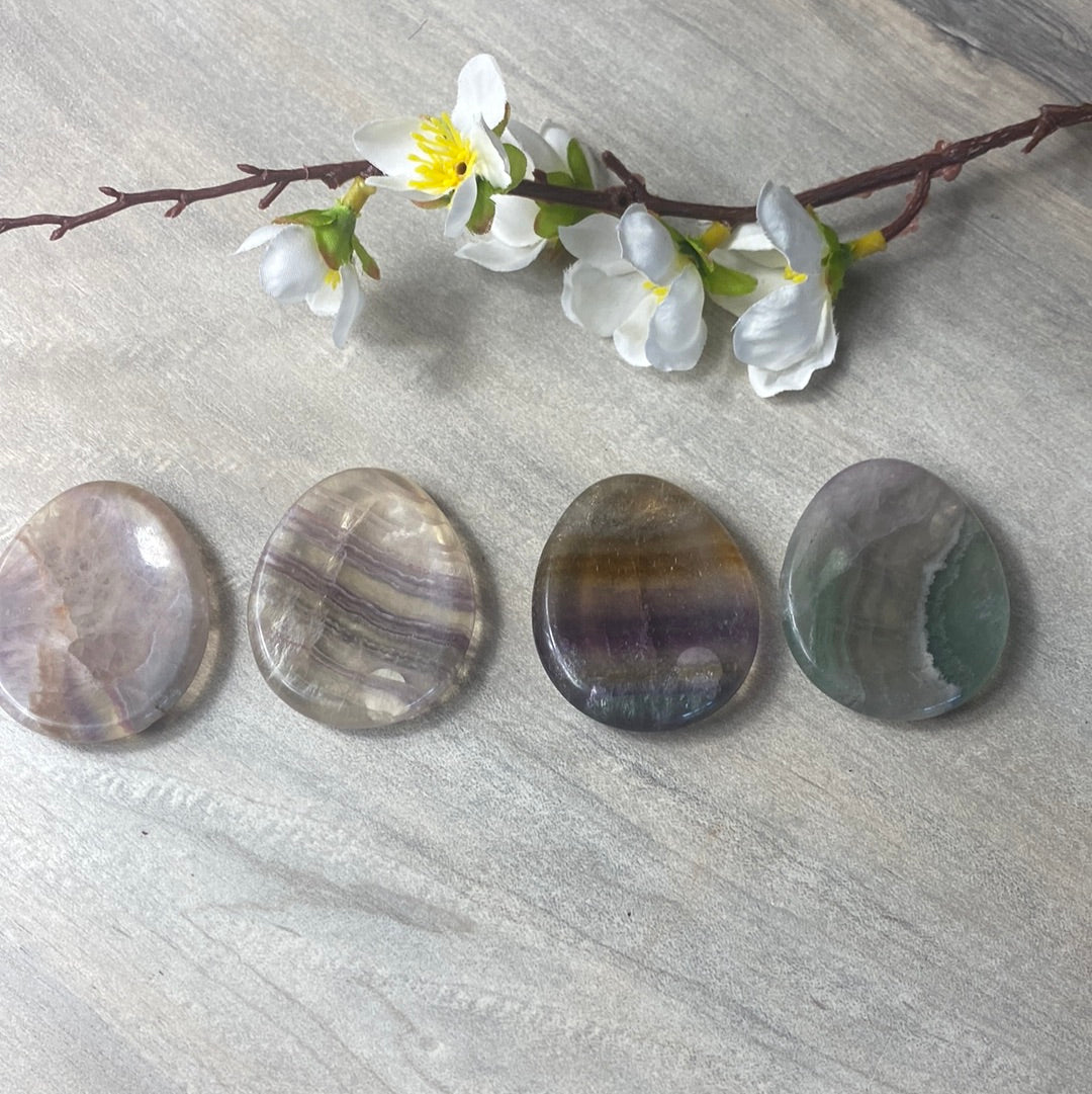 Fluorite Worry Palm