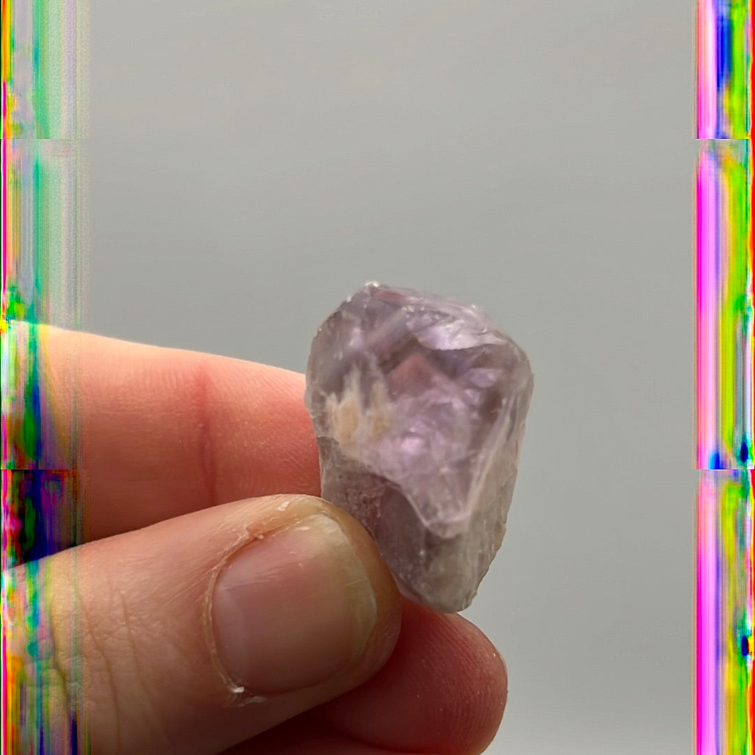 Mini Amethyst Phantom Root Tooth tumble tumblestone